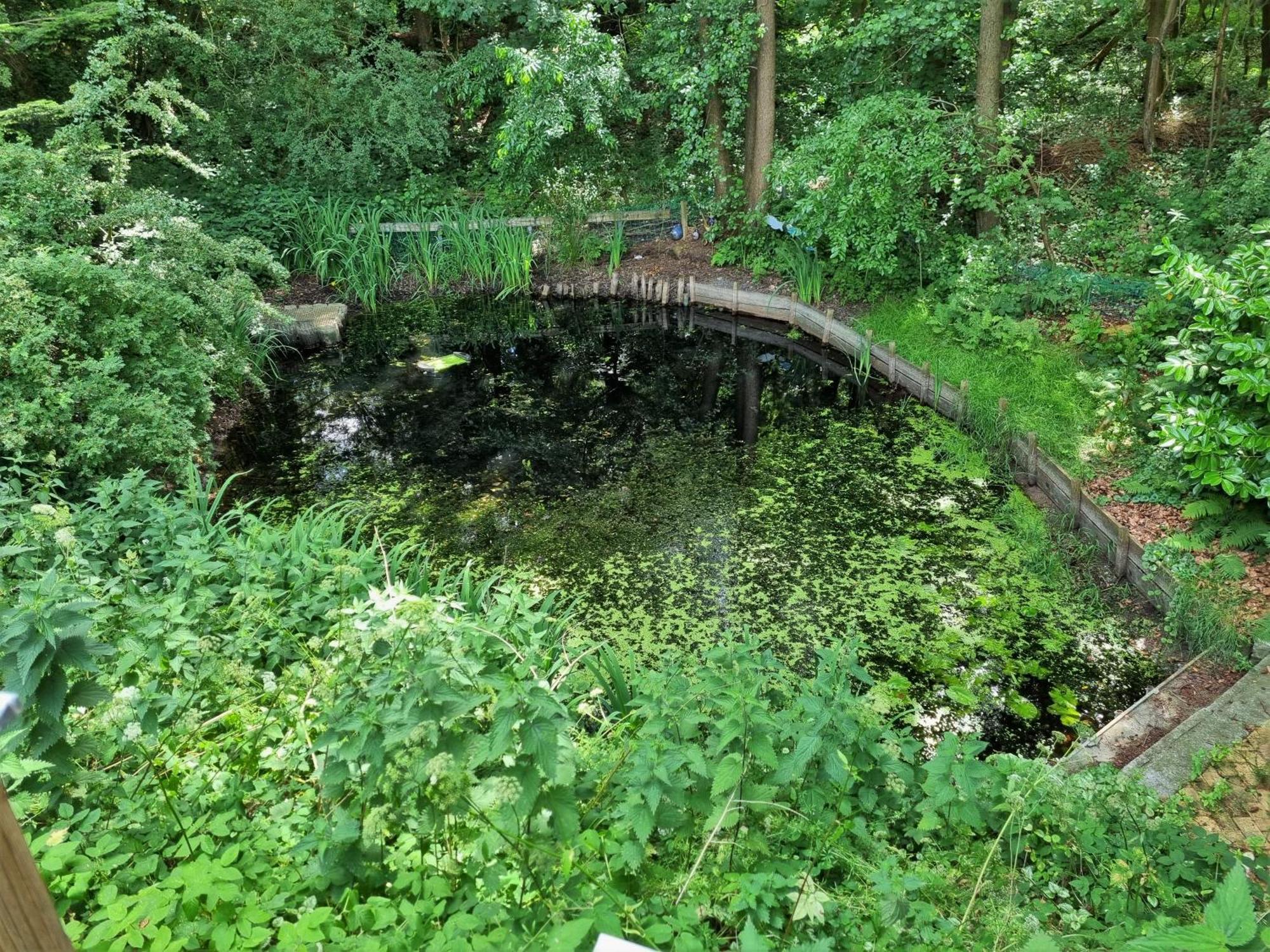 Ferienhaus Paulsen - Gemuetliches Haeuschen Mit Vollstaendig Eingezaeuntem Garten Und Kamin Silberstedt Eksteriør bilde